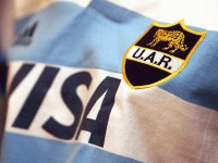 pumas