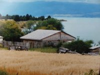punta baja carretera austral sur