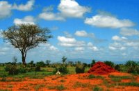 paysage