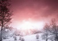 paysage