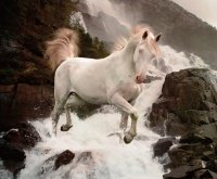 caballos 18