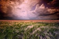 paisagens