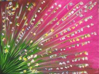 fleurs-sauvages
