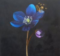 fleurs