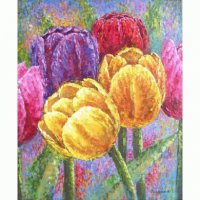 la_tulipe_coloree_fleurit