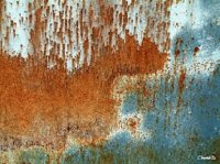 peinture rupestre