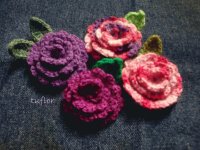 plantas y flores
