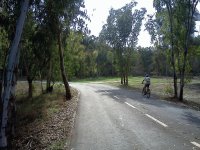 bird'shead park in ramat-gan