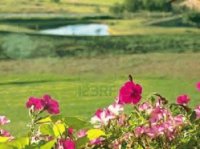paysage