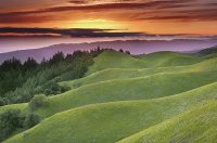 paysage