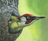 oiseaux