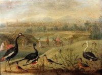 oiseaux