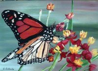 papillon