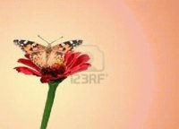 Fleur