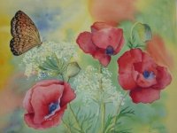 peinture-papillon-et-pavot