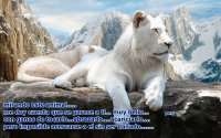 leon albino