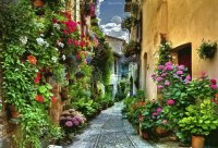 spello - Itália