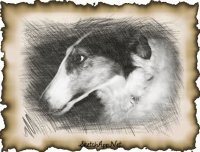 our pets