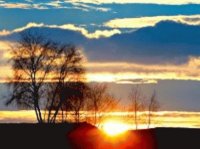 paysage