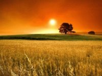 autumn-sunset