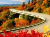 autumn-leaves