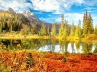 Nature