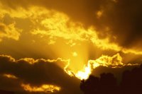 Atardecer dorado