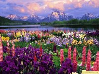 Paisaje Flores