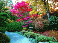 Jardin de Colores