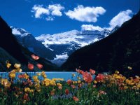 Nevado y Flores