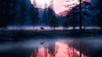 Paisaje