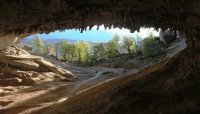 Cueva