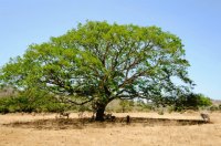 Imagenes de Costa Rica