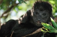 Imagenes de Costa Rica