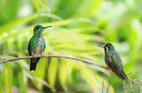 Imagenes de Costa Rica