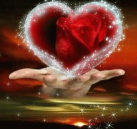 heart in hand