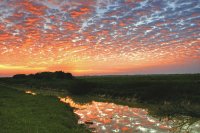 los llanos