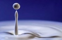 equilibrio