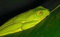 Imagenes de Costa Rica