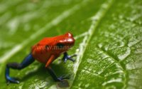 Imagenes de Costa Rica