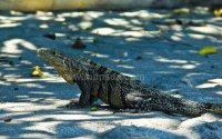 Imagenes de Costa Rica