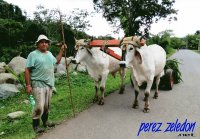 Imágenes de Costa Rica