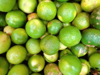 Panama