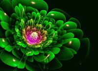 green colors