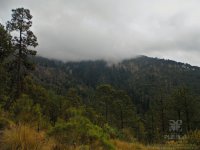 Puebla Huauchinango