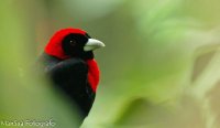 Imágenes de Costa Rica