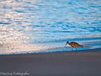 Imágenes de Costa Rica
