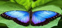 Imágenes de Costa Rica