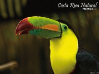 Imágenes de Costa Rica
