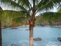 mágenes de Costa Rica